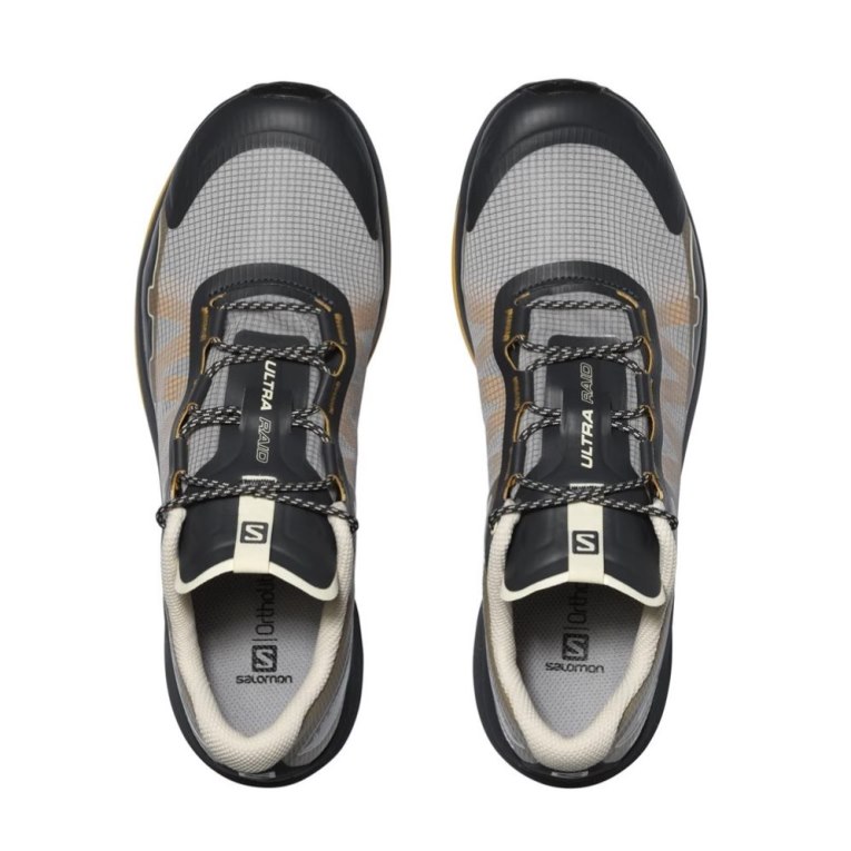 Black / Grey / Brown Salomon Ultra Raid Men's Sneakers | IE EJ9502